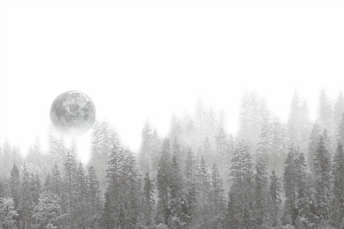 Misty forest moon moon mural in your room — zoomed