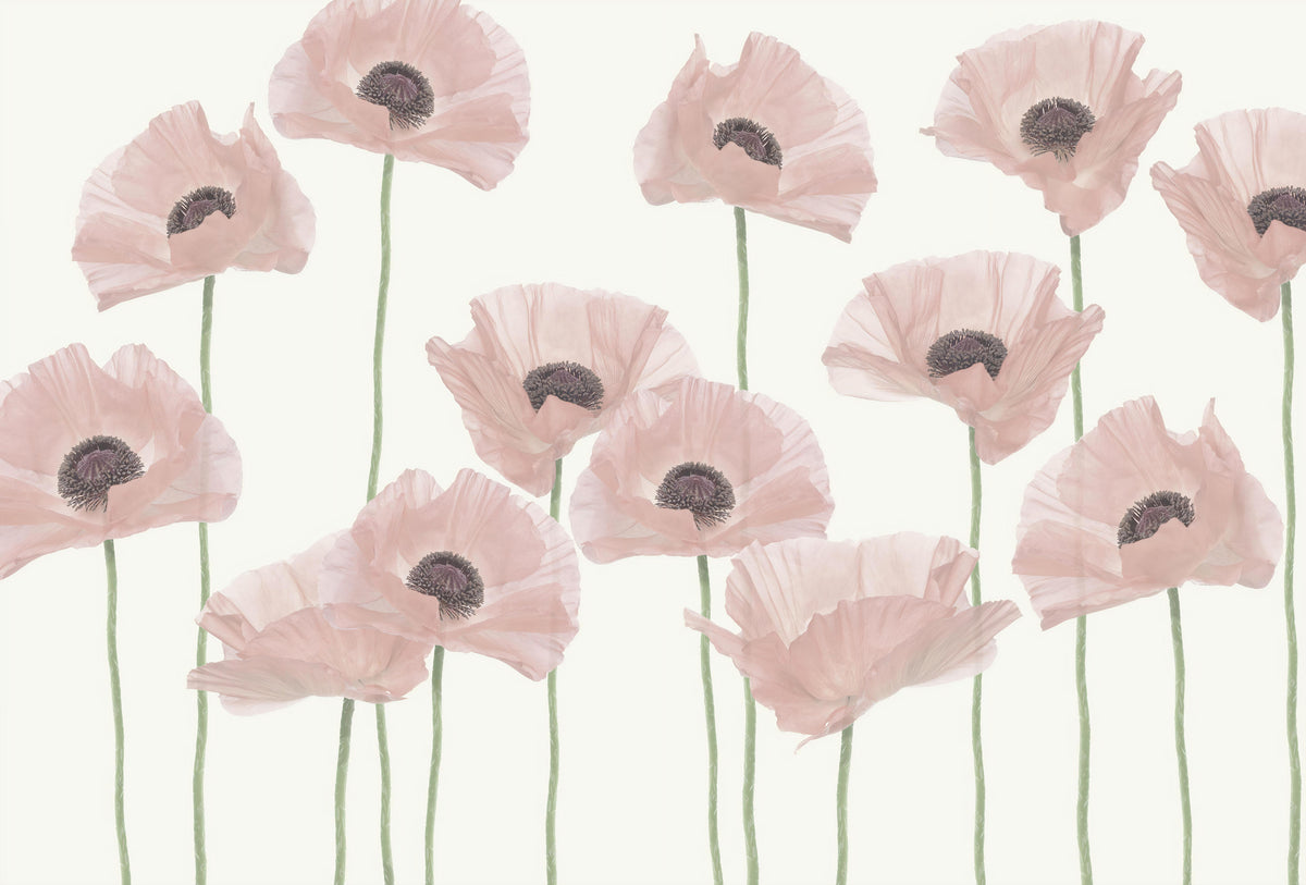 Wandbild mit pastellrosa Mohnblumen