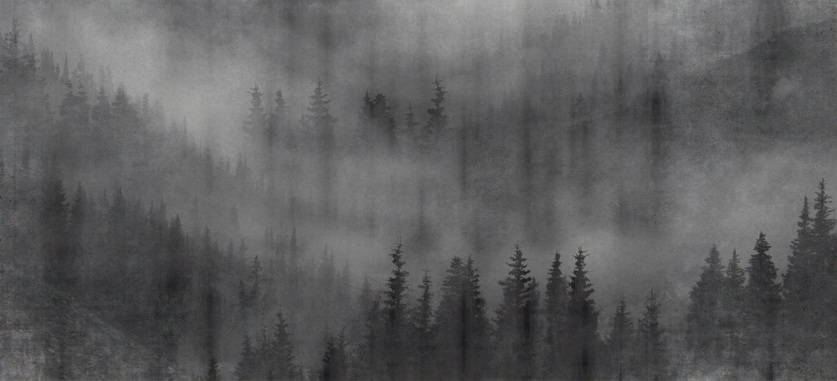 Misty Forest Black Wall Mural in your room