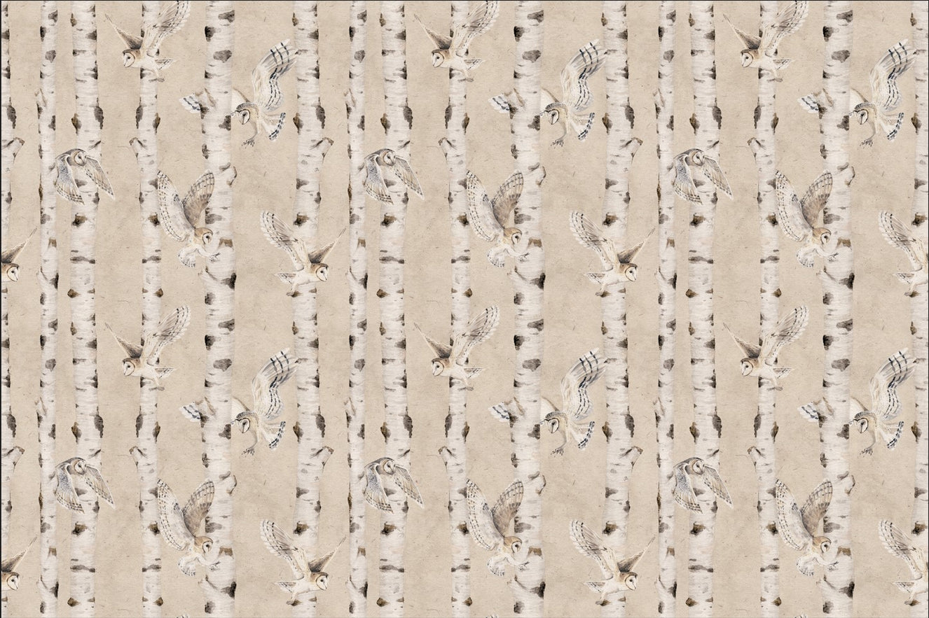 Wallpaper della foresta di betulla gufo - beige