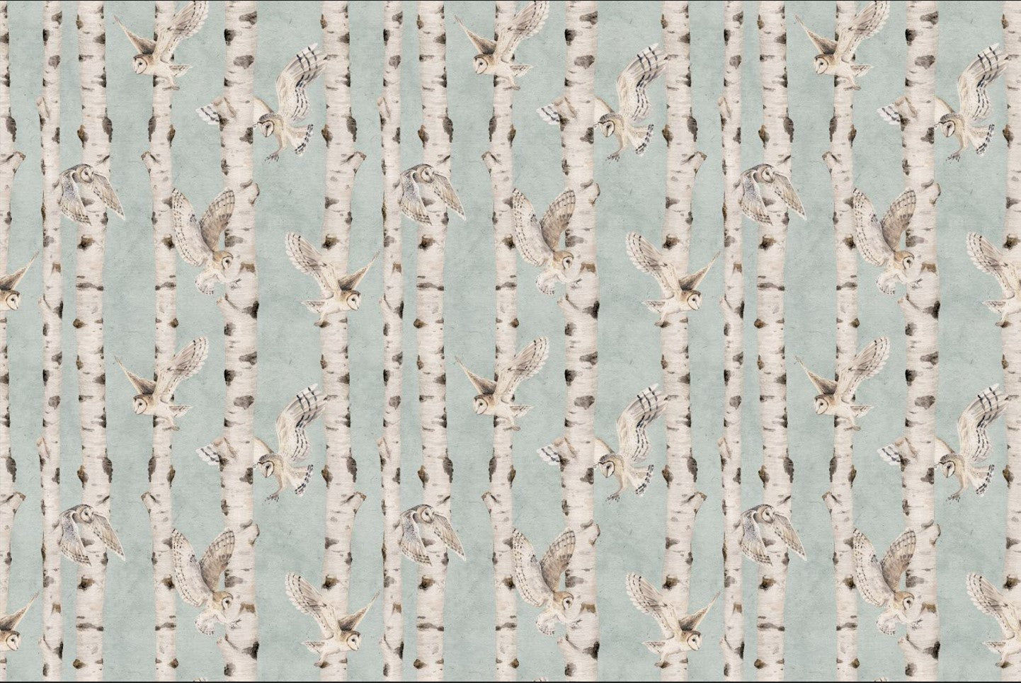 Owl Birch Forest Wallpaper - Blue