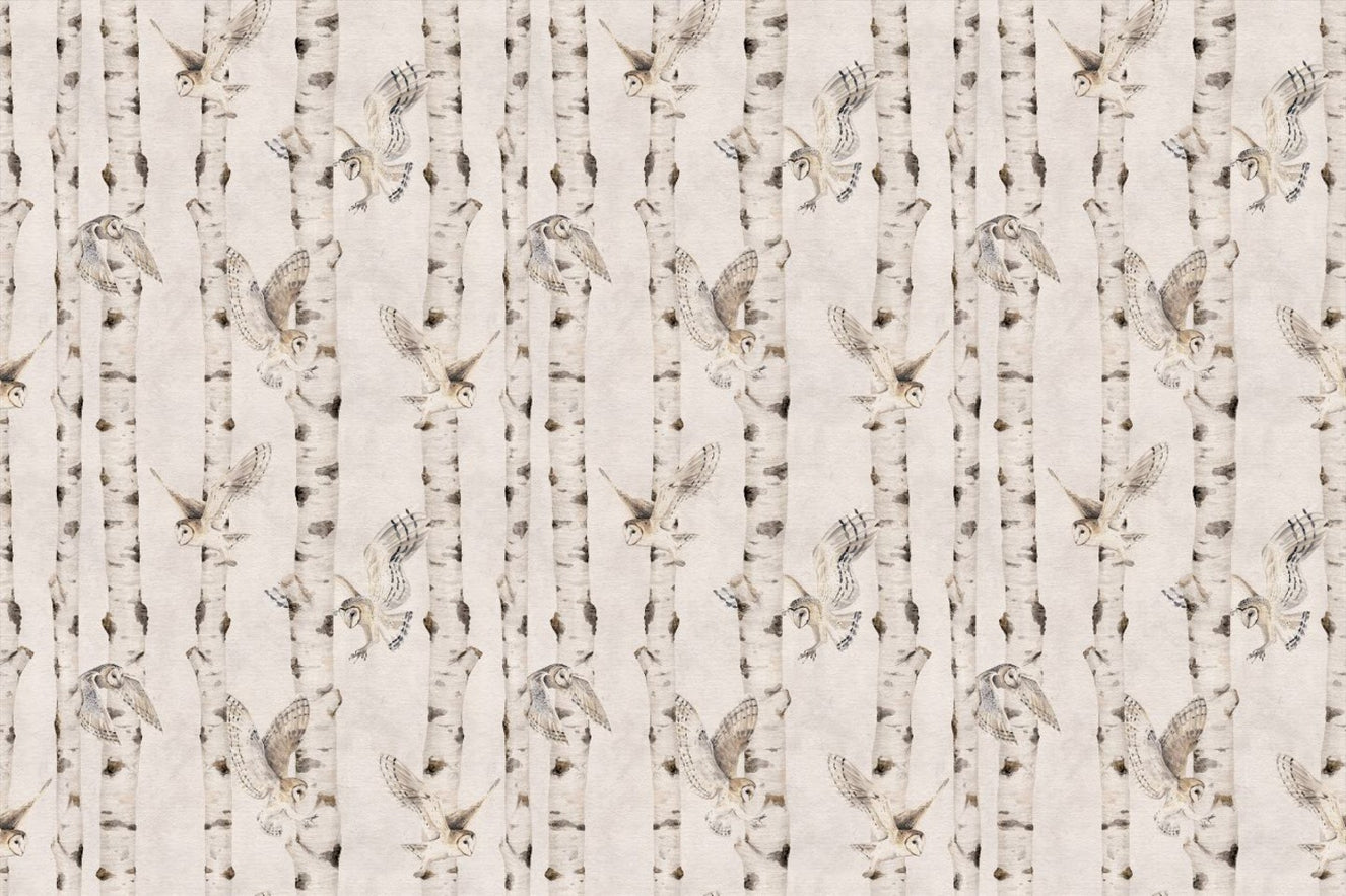 Uglen Birch Forest tapet - Hvid
