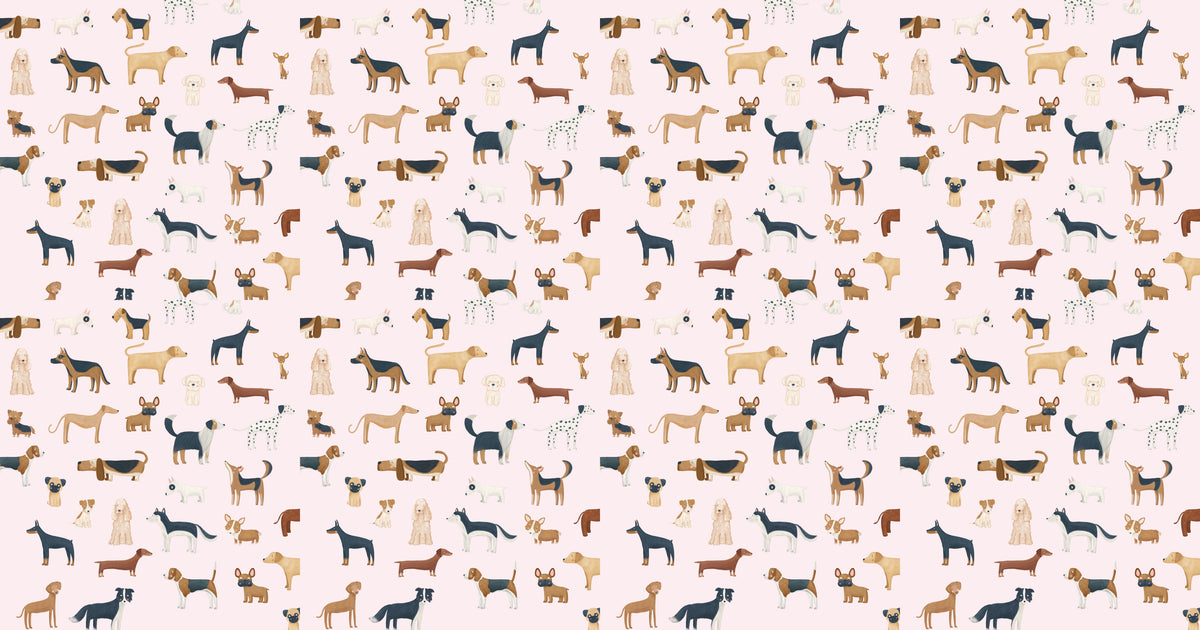 Sfondo della collezione canina rosa in your room — zoomed