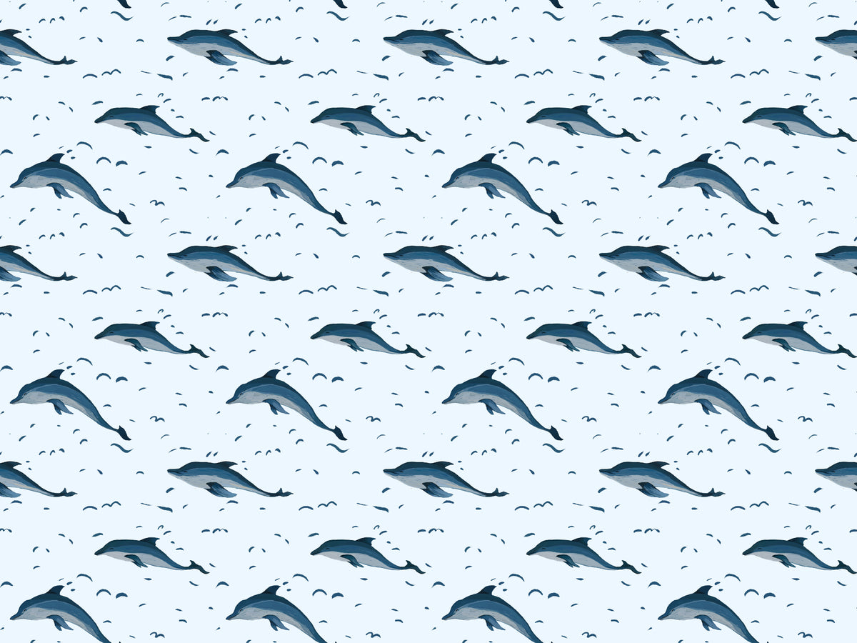 海の壁紙のイルカ