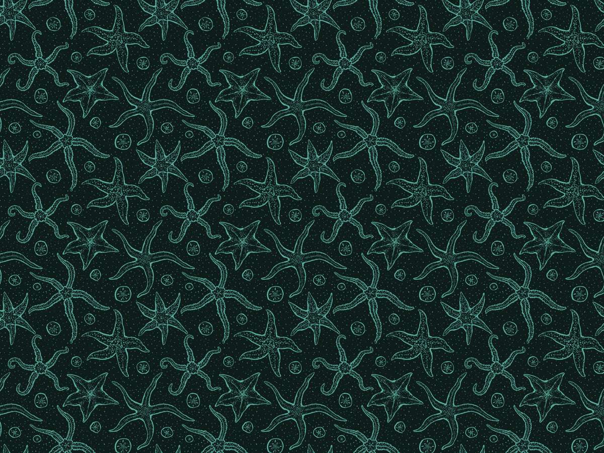Dunkelblau Echinoderms Tapete