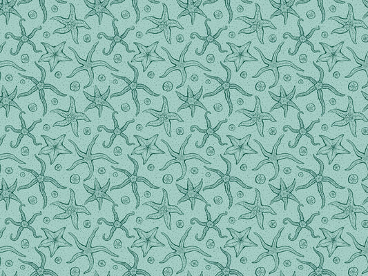 Hellblau -Echinoderms Tapete