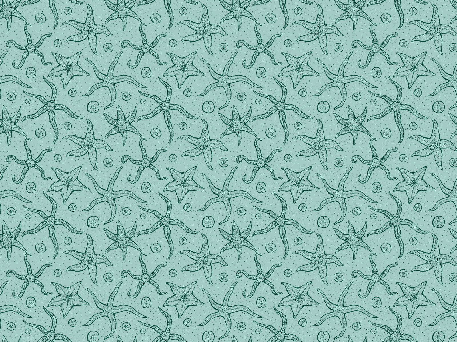 Hellblau -Echinoderms Tapete