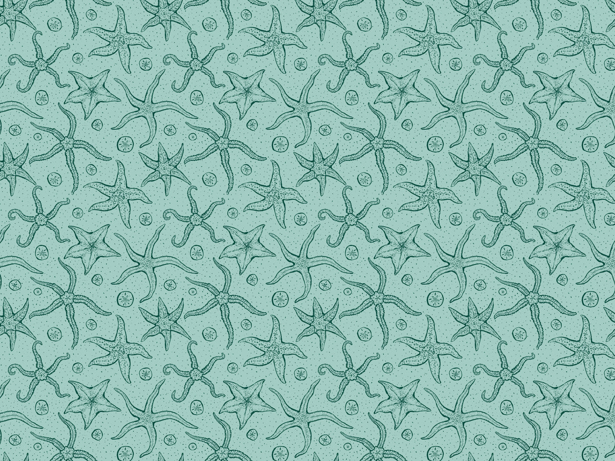 Hellblau -Echinoderms Tapete in your room — zoomed