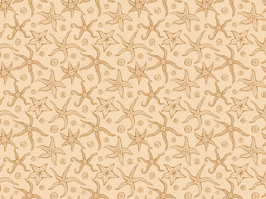 Warme braune Echinoderms Tapete