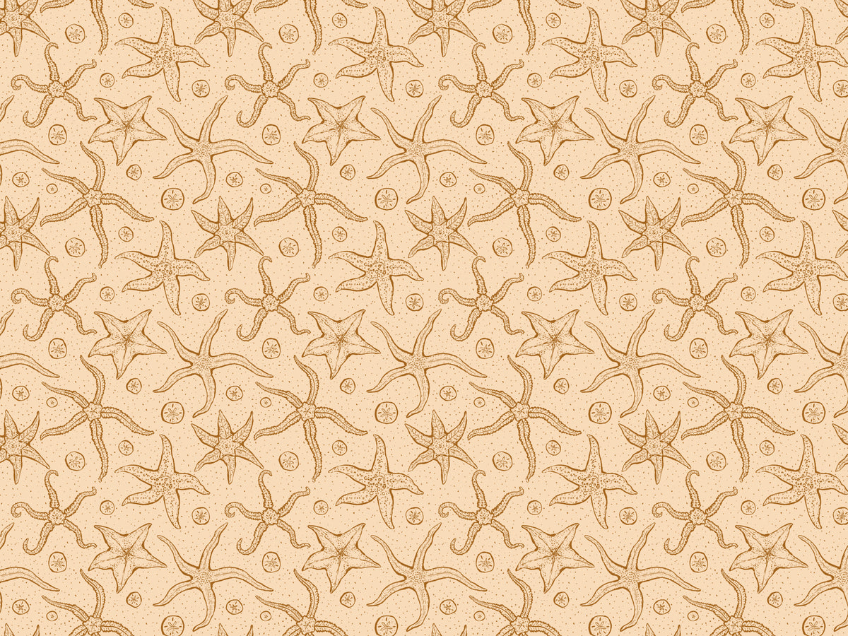 Warme braune Echinoderms Tapete