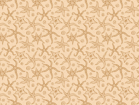 Warme braune Echinoderms Tapete