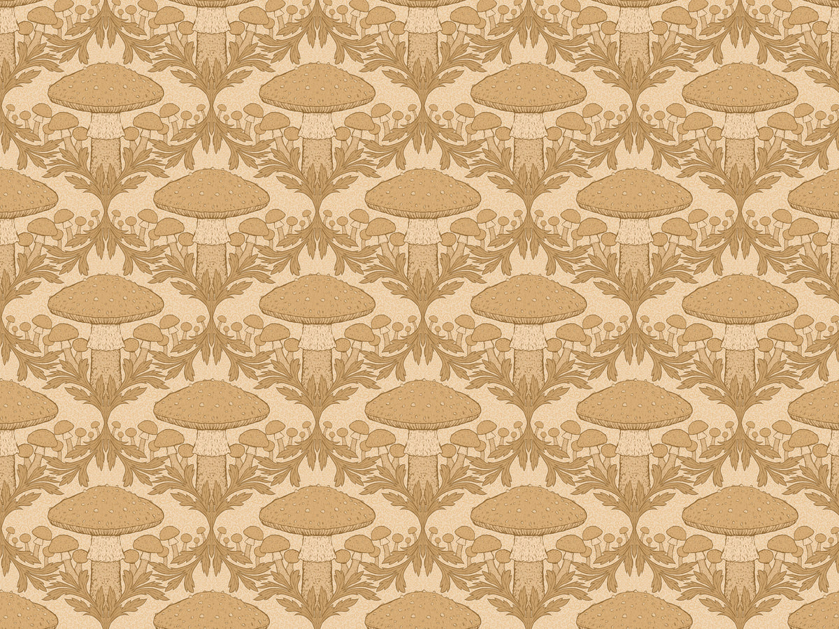 Fond d'écran des champignons beige in your room — zoomed