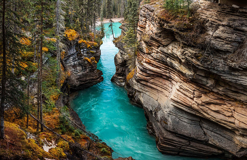 Herbst Gelassenheit bei Athabasca Falls Wallpaper