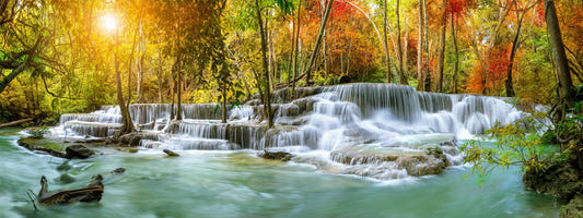 Natural étincelant cascade de jungle de jungle peint mural