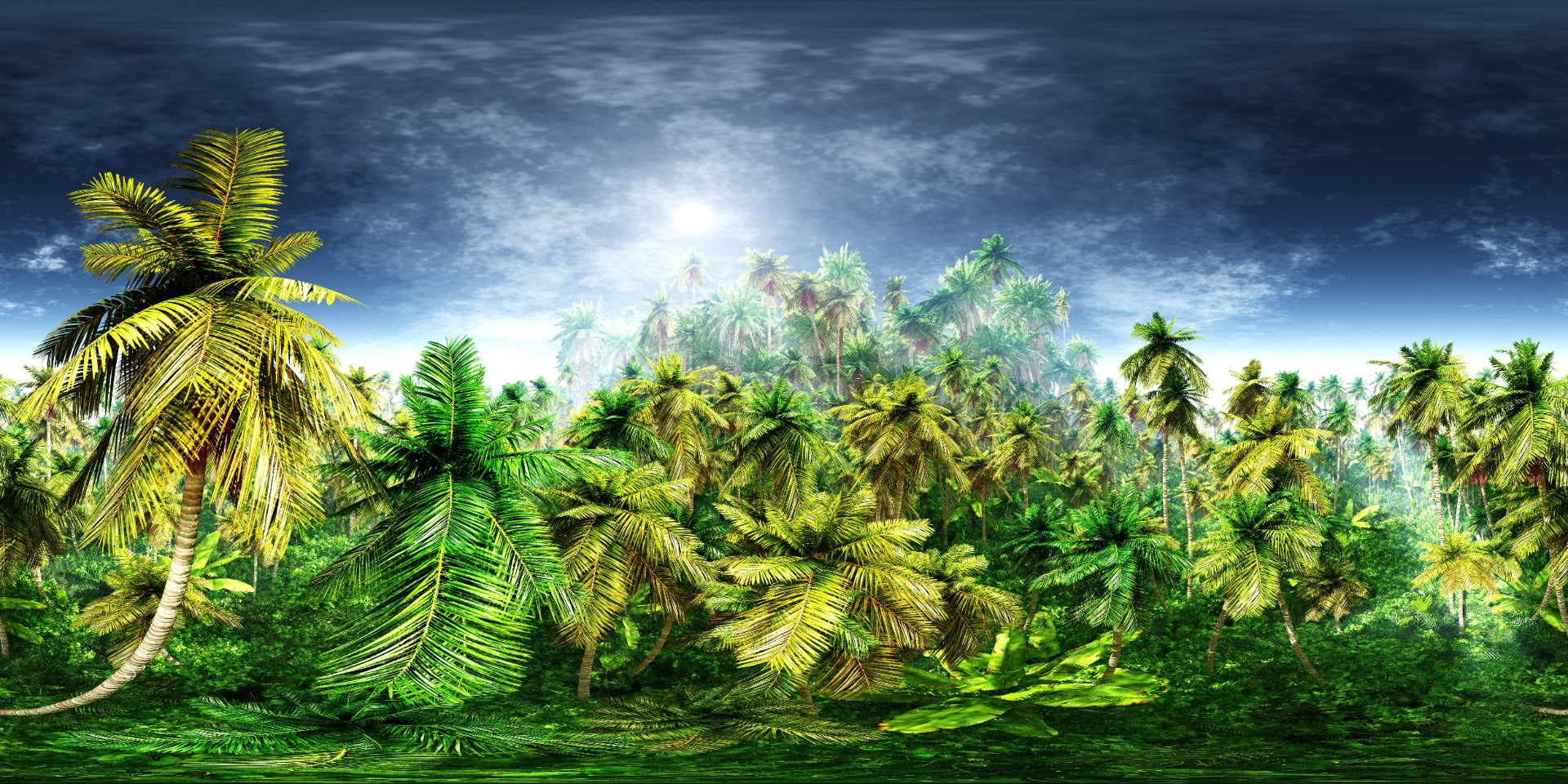 Vied Green Rainy Morning Forest Paper peint mural