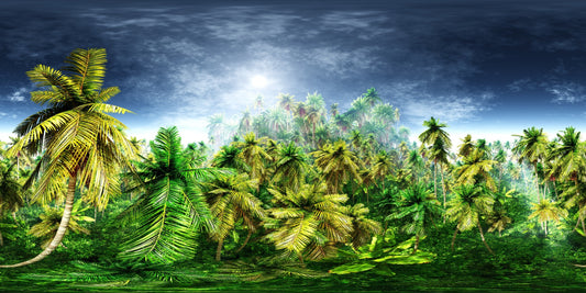 Vivid Green Rainy Morning Forest Wallpaper Mural