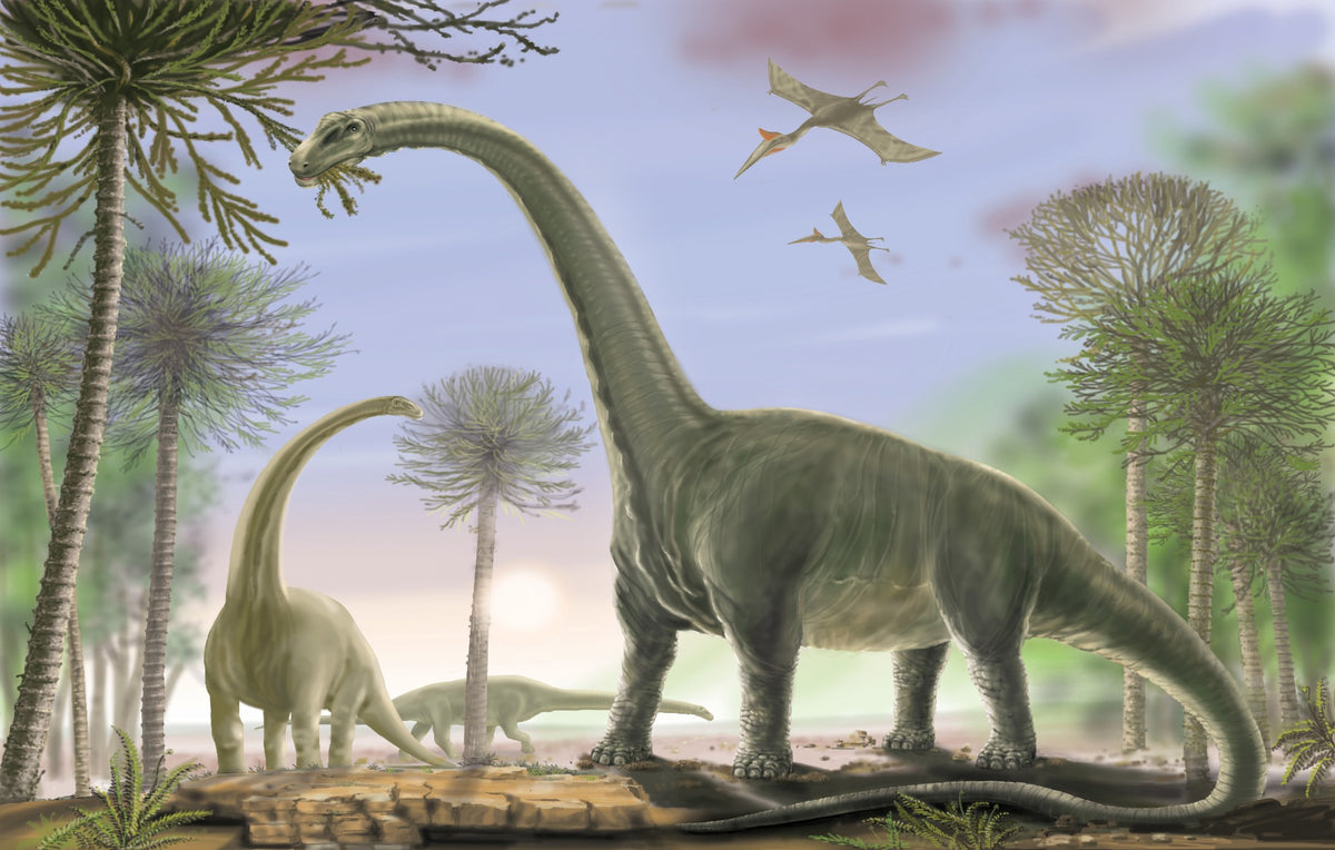 Animierter Dinosaurier Wallpaper Wandbild in your room — zoomed