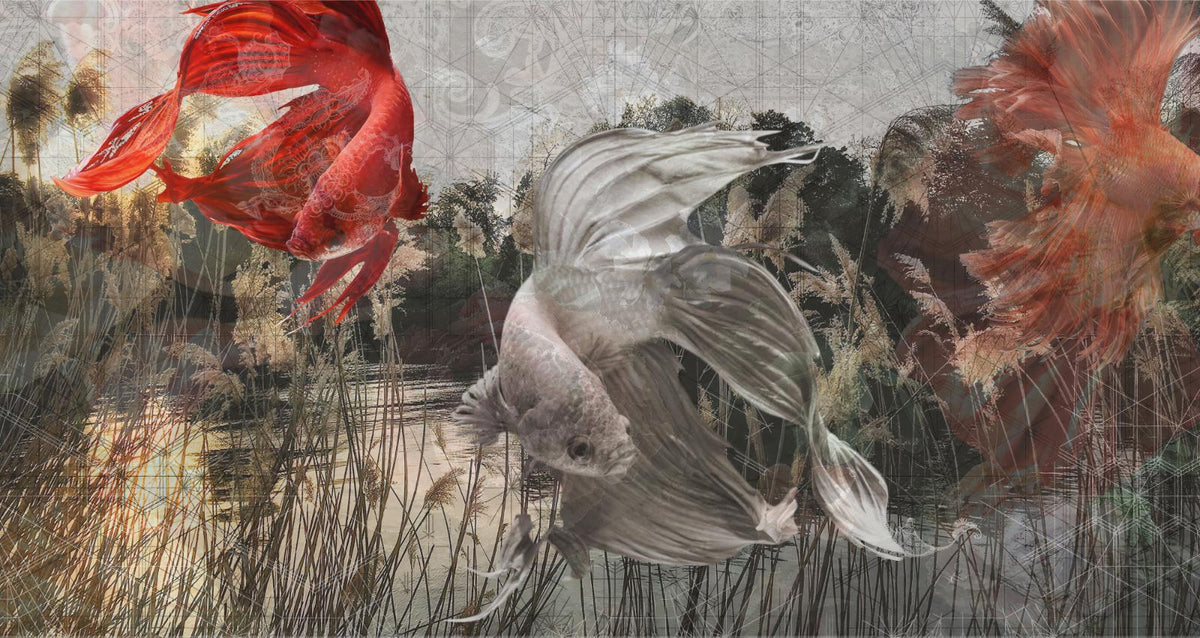 水中魚の壁紙の壁画