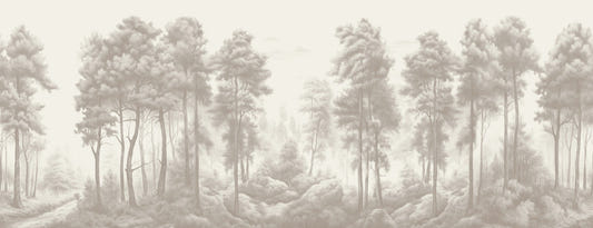 Towering Palm Wallpaper Murals