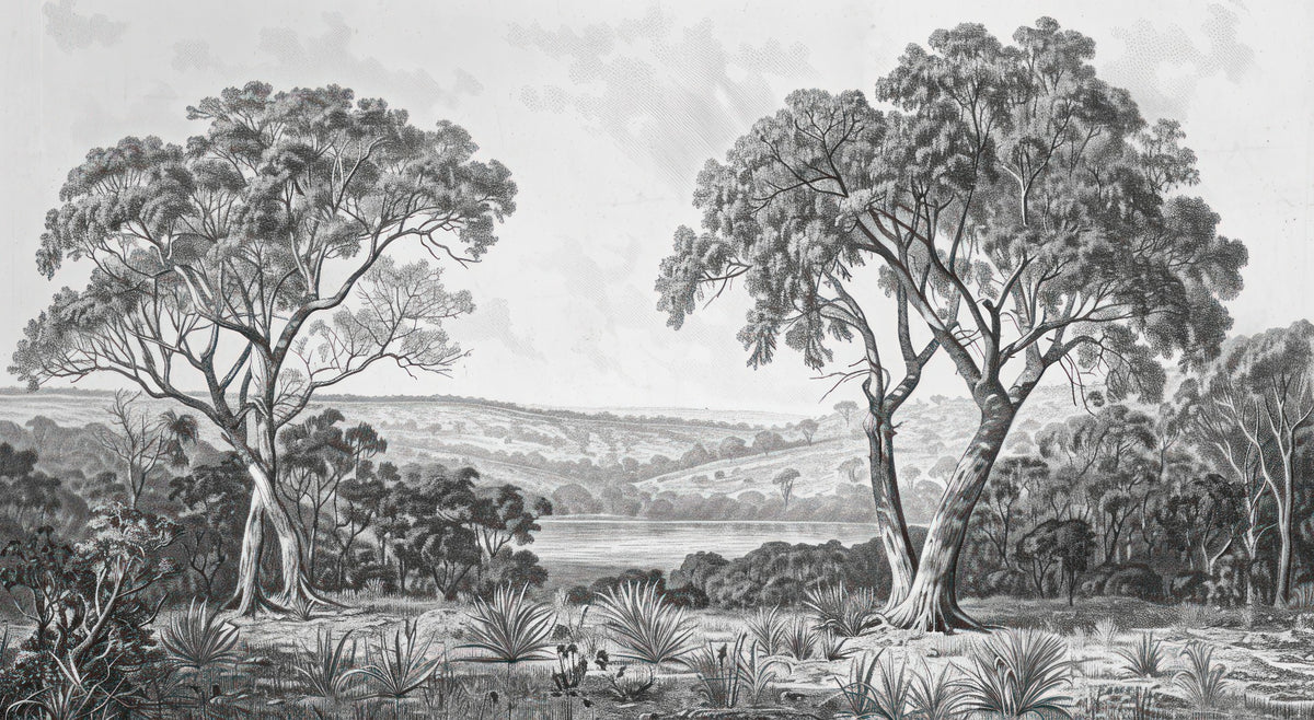Black & White Fog Covering Trees Forest Wallpaper Mural in your room