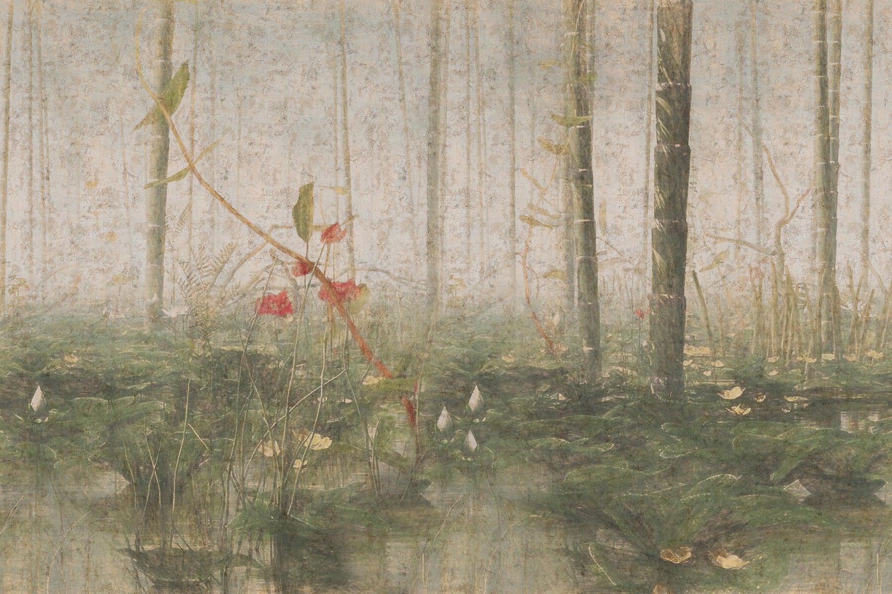 Foggy Tropical Deciduous Forest Wallpaper Murals in your room — zoomed