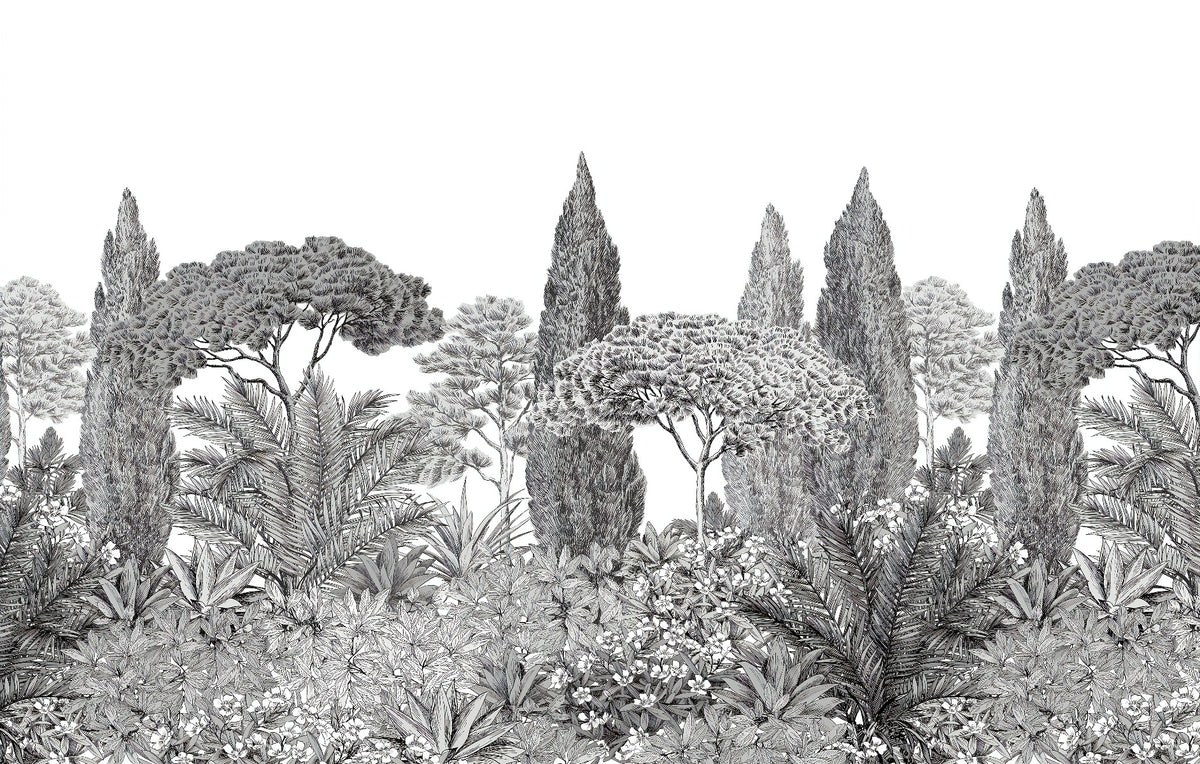 Grey Deodar Trees Malowidła ścienne in your room — zoomed