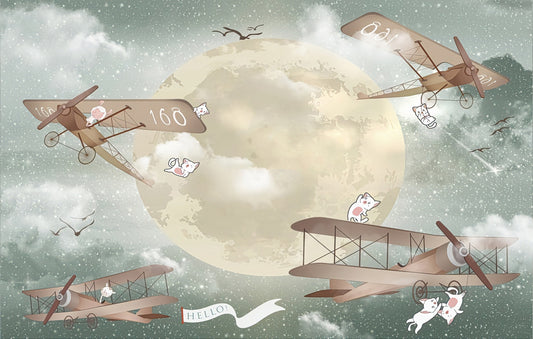 Moonlight Airplanes Wallpaper Murals