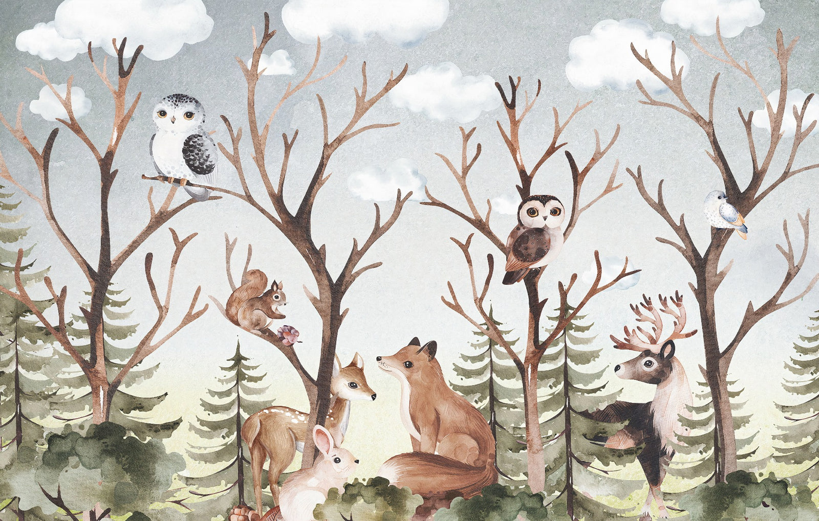 Forest Fall Kids Room Wallpaper Mural