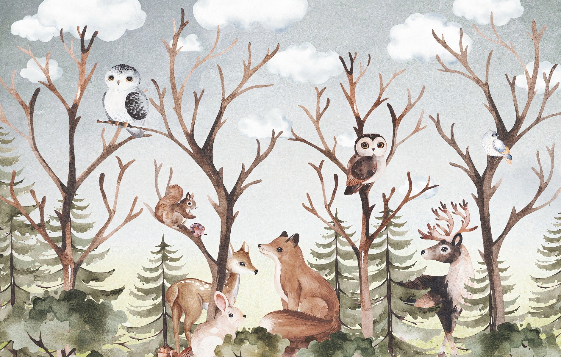 Forest Fall Kids Room Wallpaper Mural in your room — zoomed