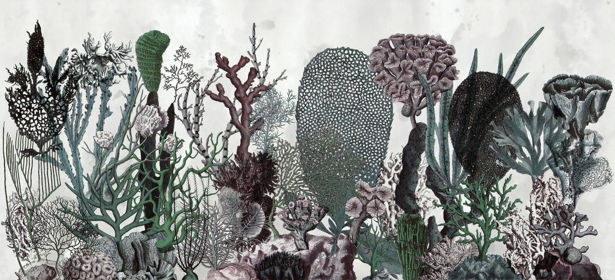 Flowers & Plant Wallpaper Murals in your room — zoomed