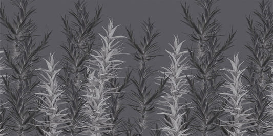 Grå dracaena tapetmalerier