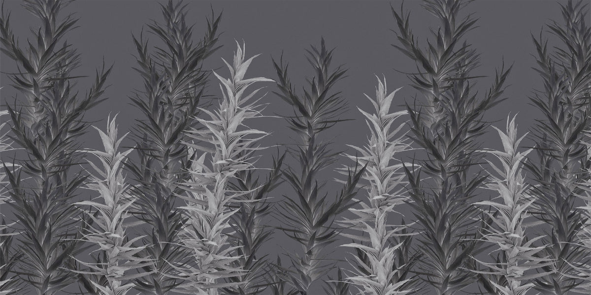 Grå dracaena tapetmalerier