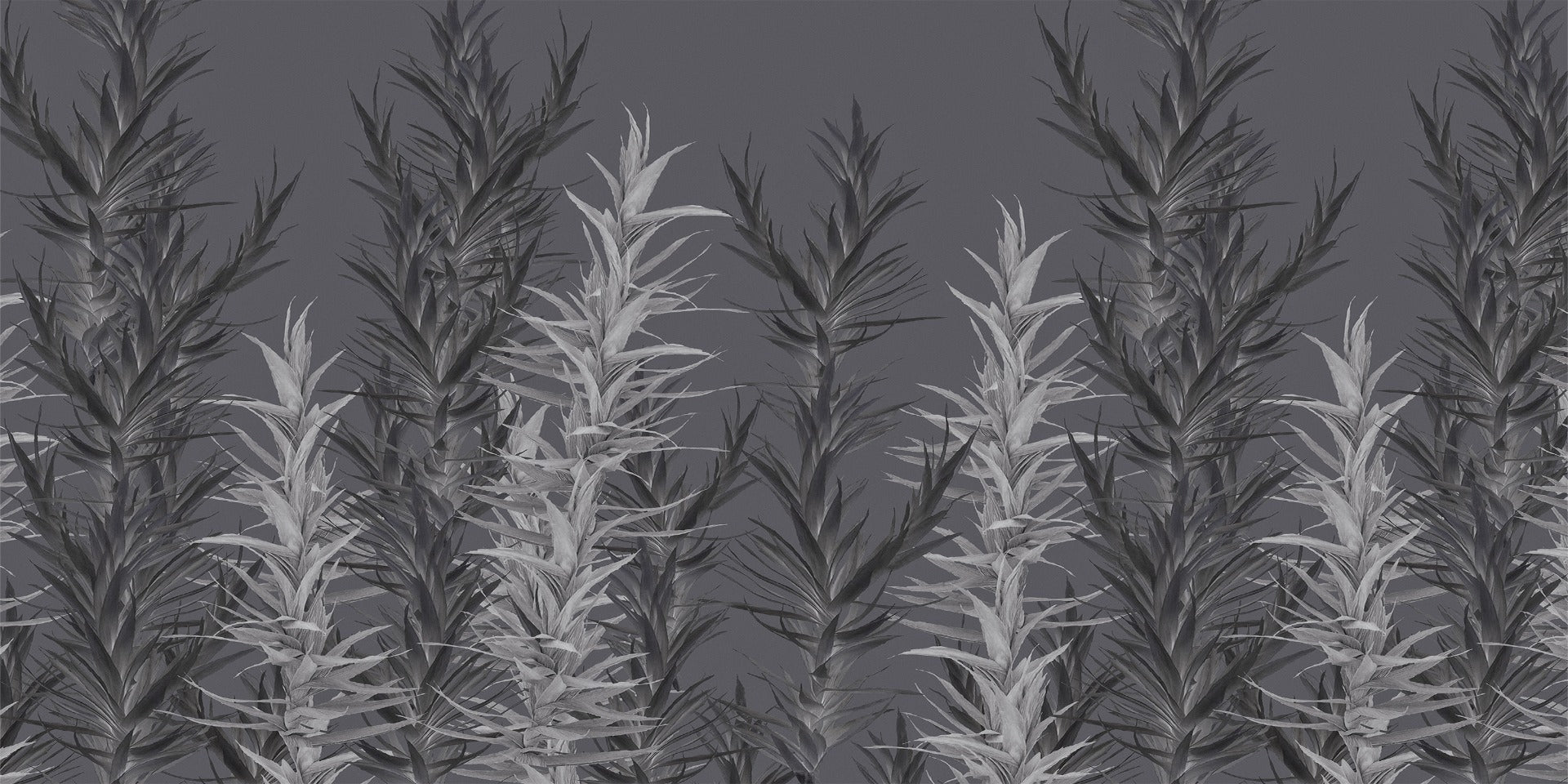 Grå dracaena tapetmalerier in your room — zoomed