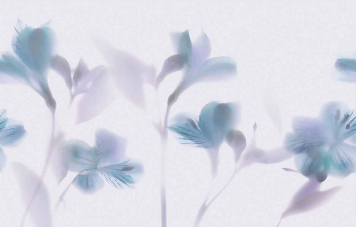 Blaue Orchideen neblige Tapeten Wandbilder in your room — zoomed