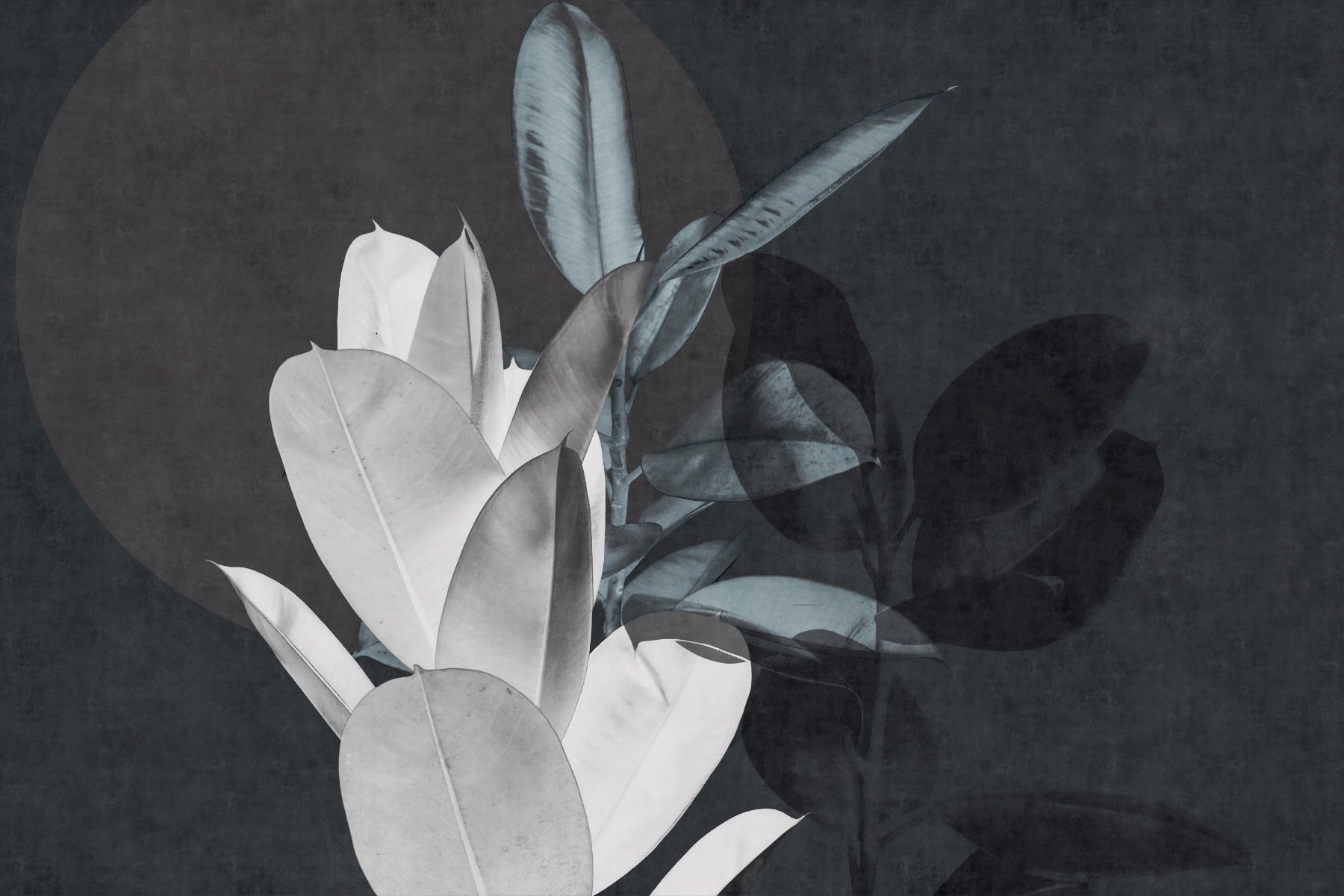 Large Leaves Textured Wallpaper Murals