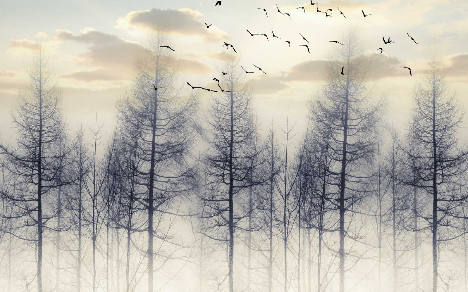 Eerie Foggy Forest Spooky Tree Halloween Wallpaper Mural