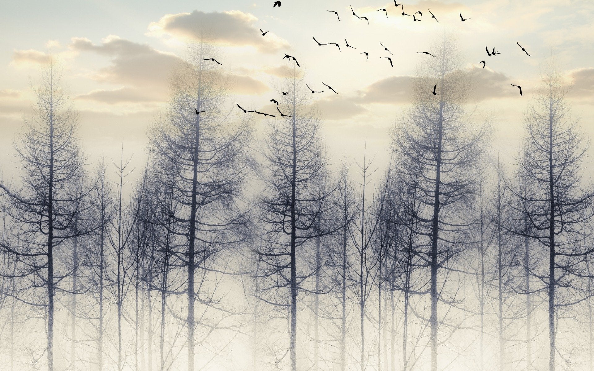 Eerie Foggy Forest Spooky Tree Halloween Wallpaper Mural in your room — zoomed