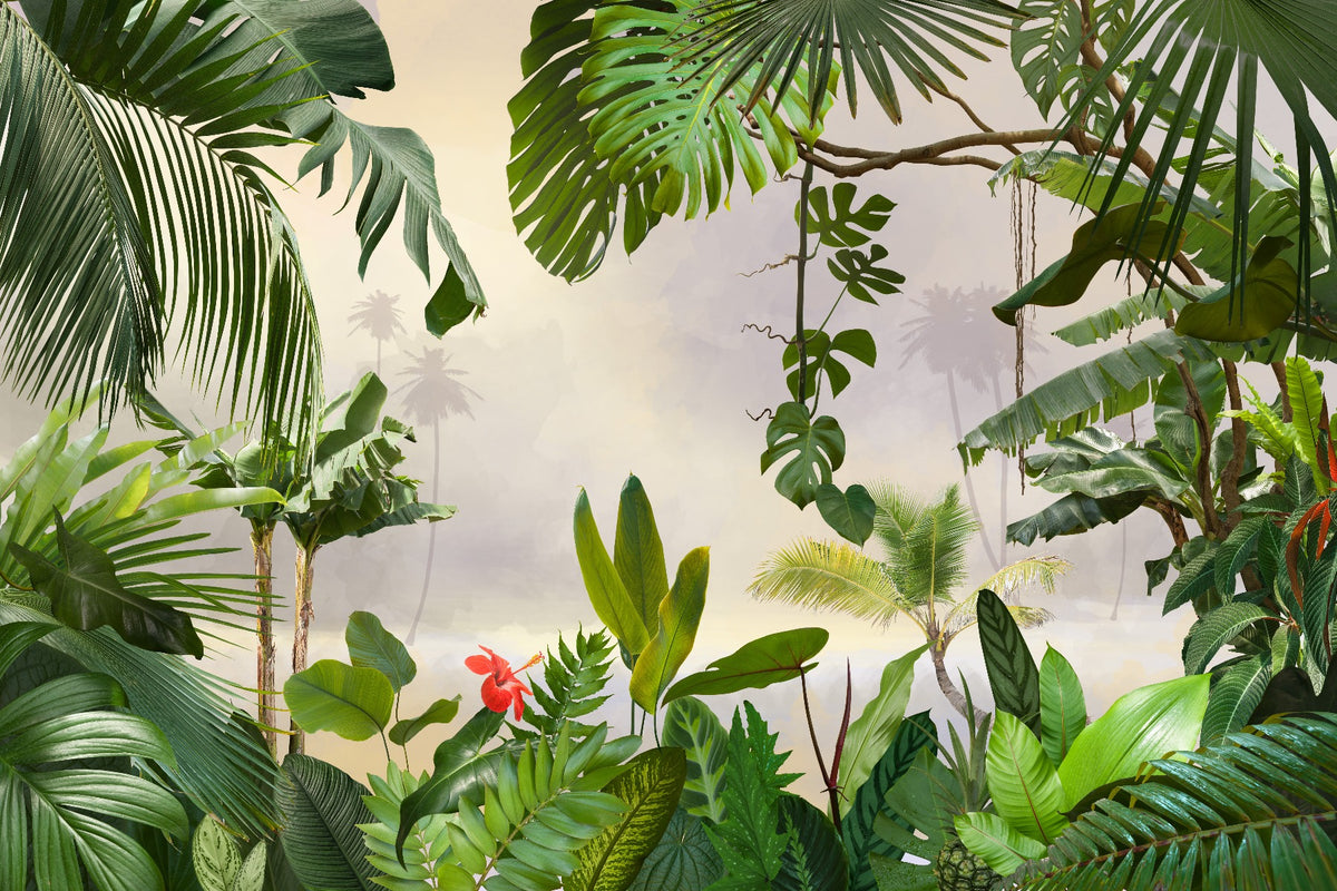 Grüne tropische Waldbäume Tapeten Wandbilder in your room — zoomed