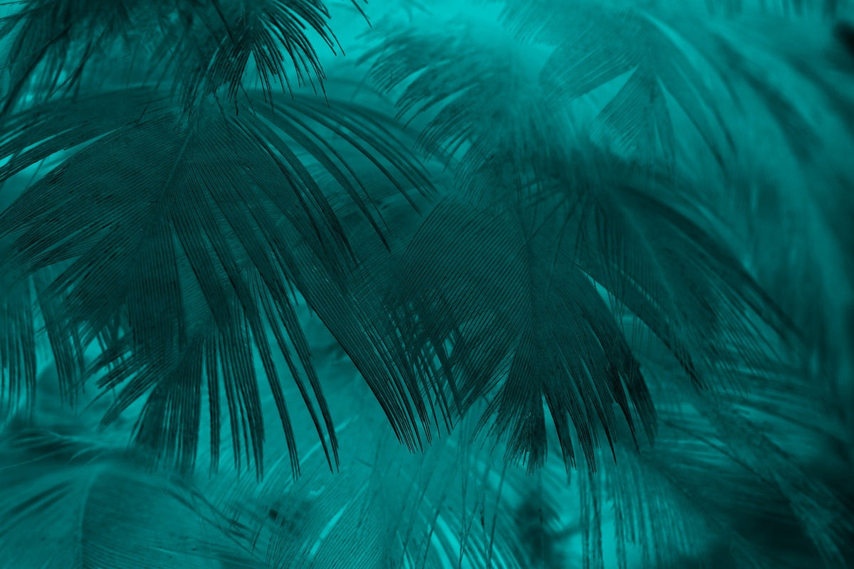 Turquoise Color Palm Tree Leaves Wallpaper Murals in your room