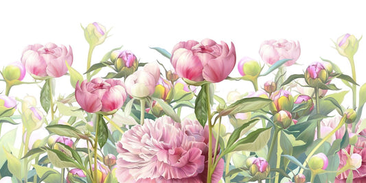Delicati murales di sfondi peonies