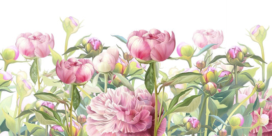 Delicati murales di sfondi peonies