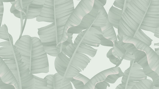 Green Banana Leaves Wallpaper Mural