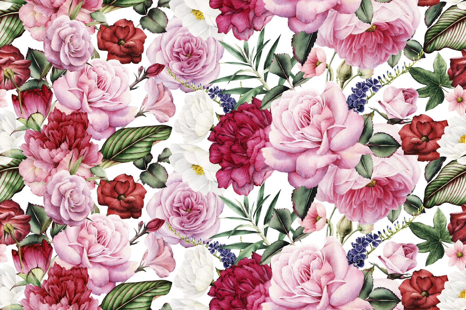 Trendy Pink and Red Rose Wallpaper