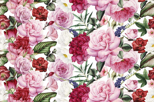 Trendy Pink and Red Rose Wallpaper