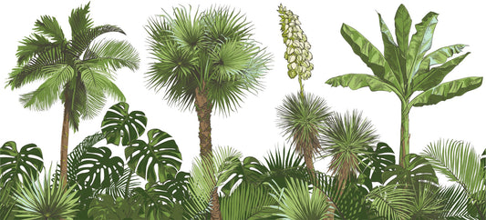 Green Forest Palm tree Wallpaper Murals