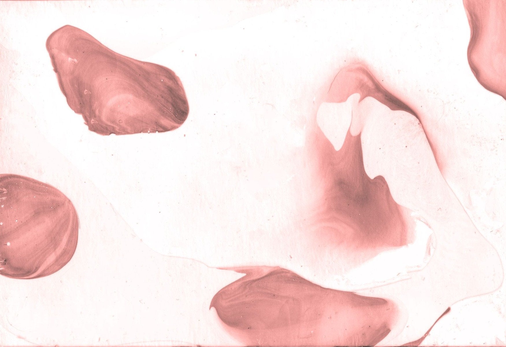 Peinture aquarelle rose peintures peints peints