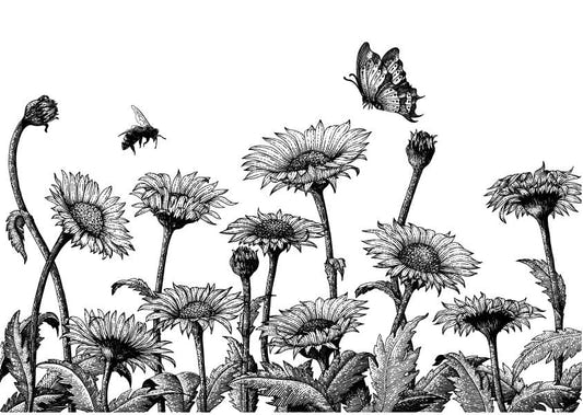 Papier peint de fleur de marguerite murale