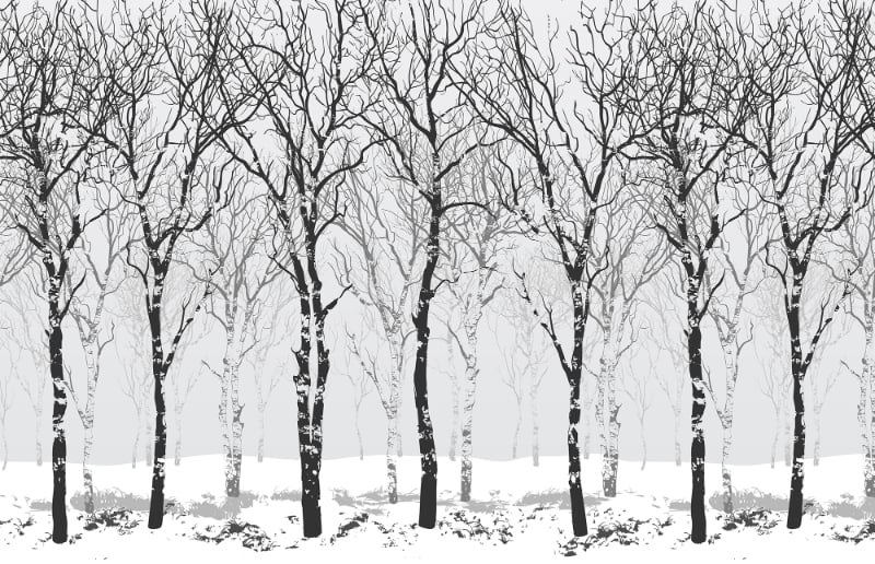 Winter Schneestaum Tapete Wandgemälde in your room — zoomed