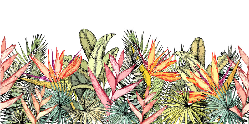 Farverig tropisk palme blade blomster vægmalerier