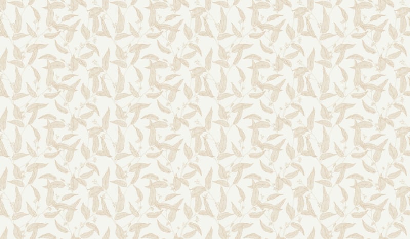 Line Art Ink Drawing Leaves Wallpaper